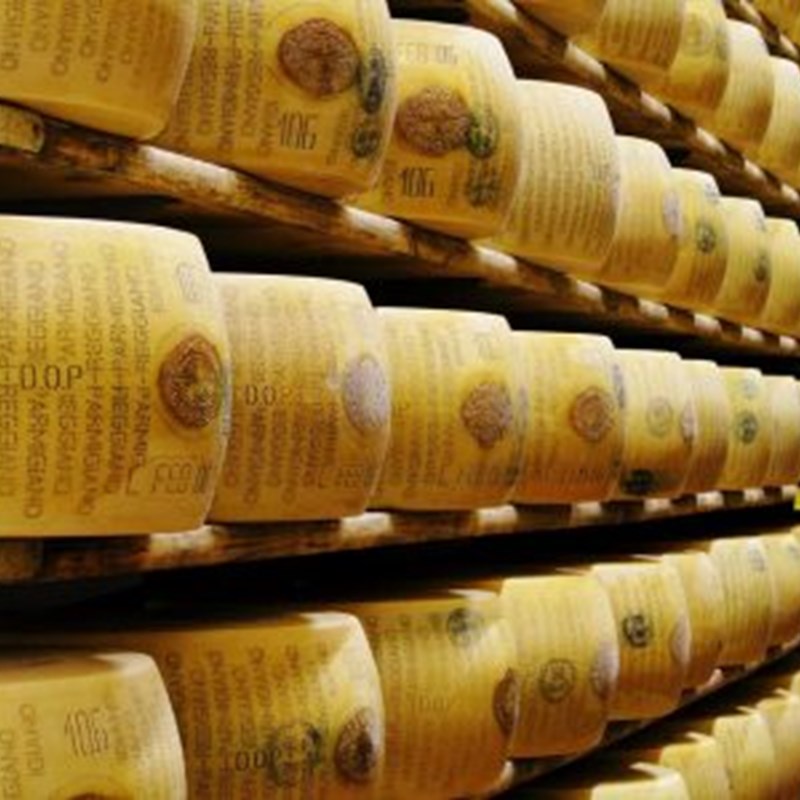 Presentazione a pellegrino parmense